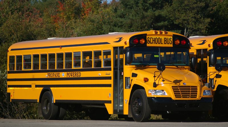 two yellow school buses with the words "propane powered" on the side against a backdrop of trees