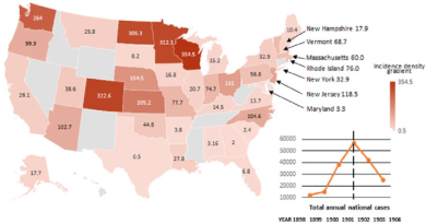 Rapid National Response to Smallpox Attack in the United States