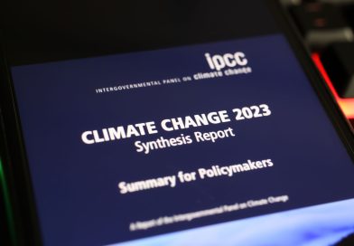 The Reality of IPCC Authors in the 6th Assessment Cycle